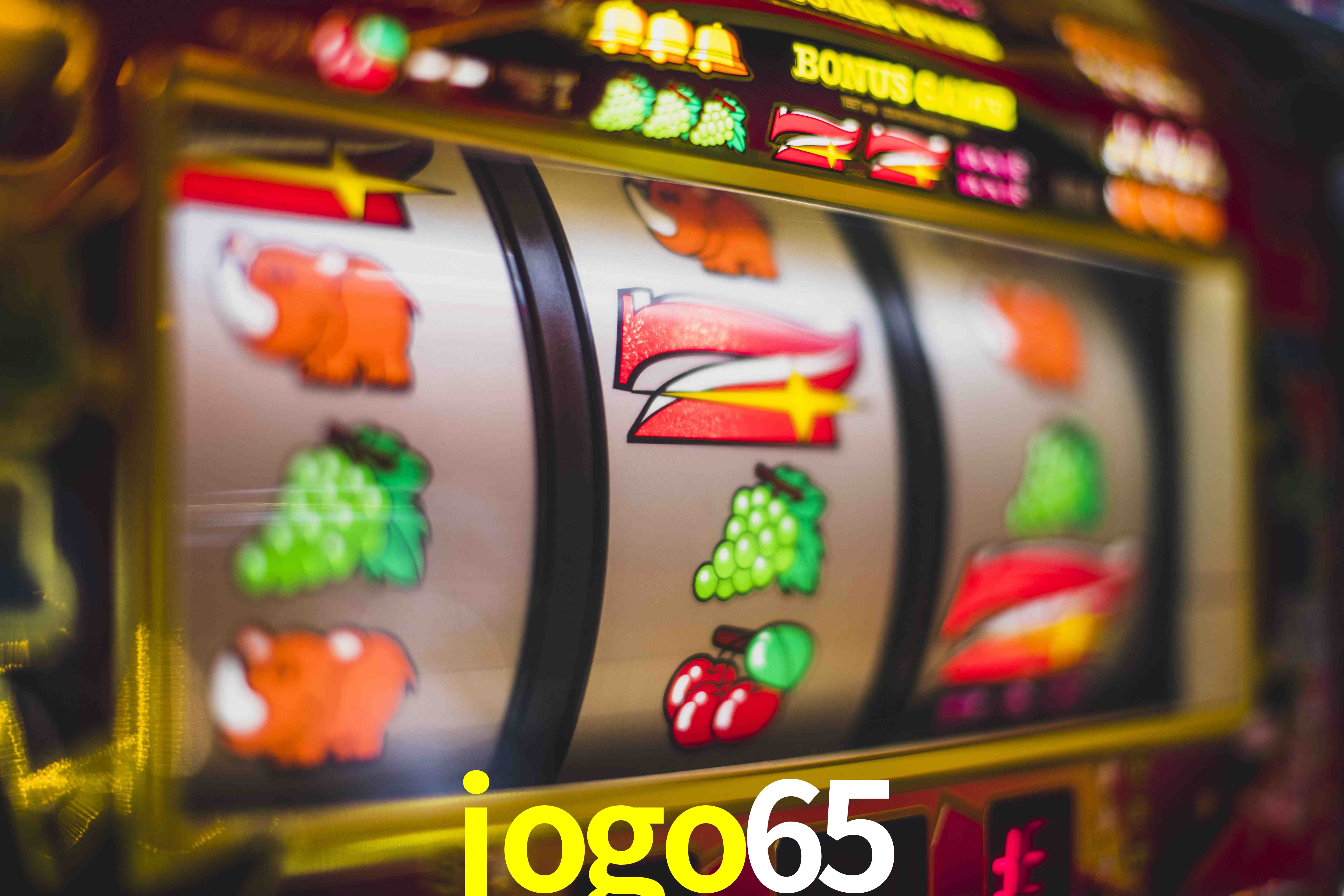 Football Betting jogo65